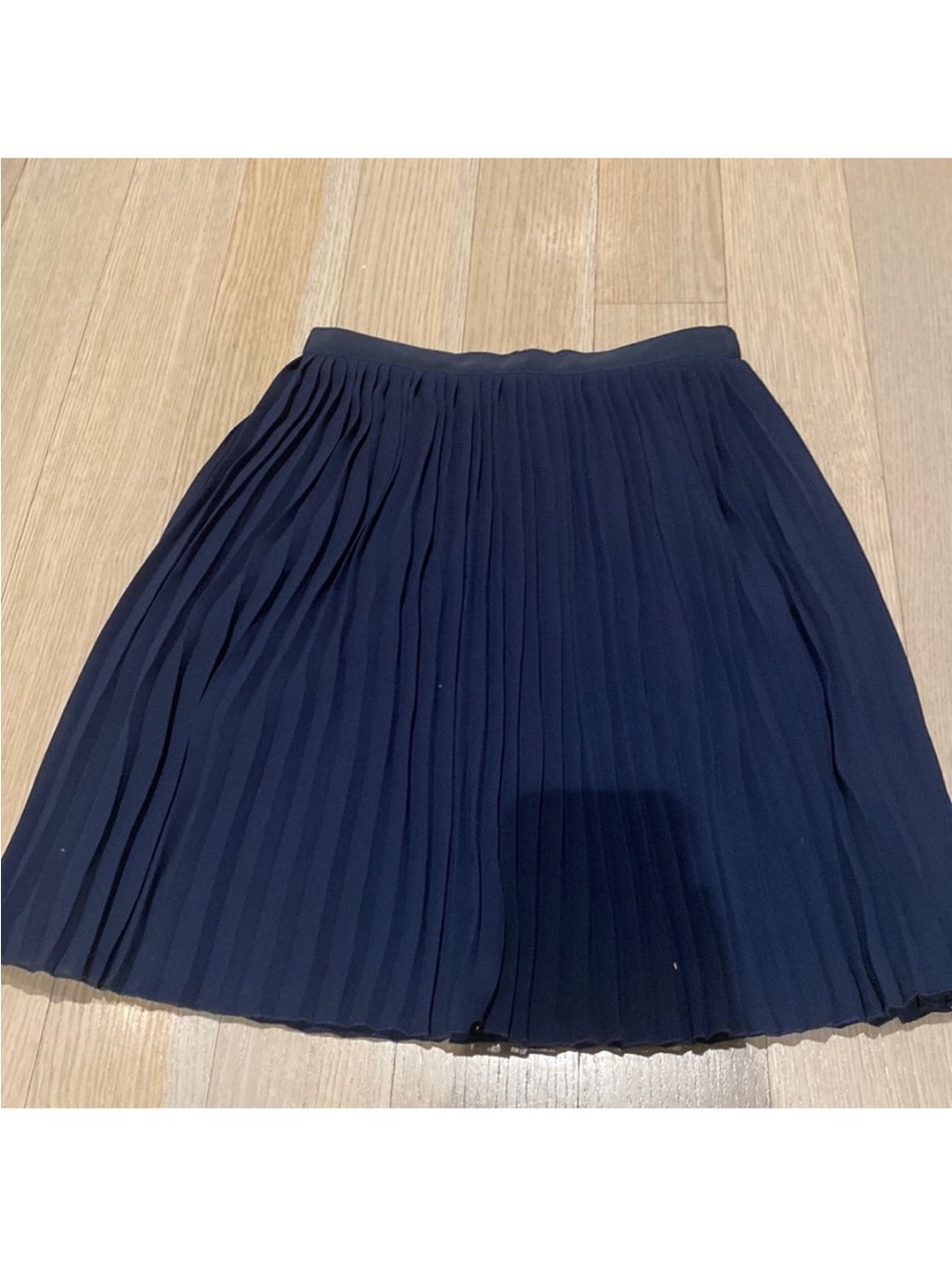 J. Crew Navy Pleated Mini Skirt